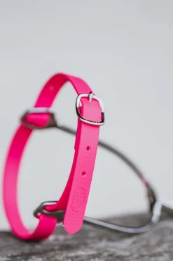 Biothane Sporenriemen