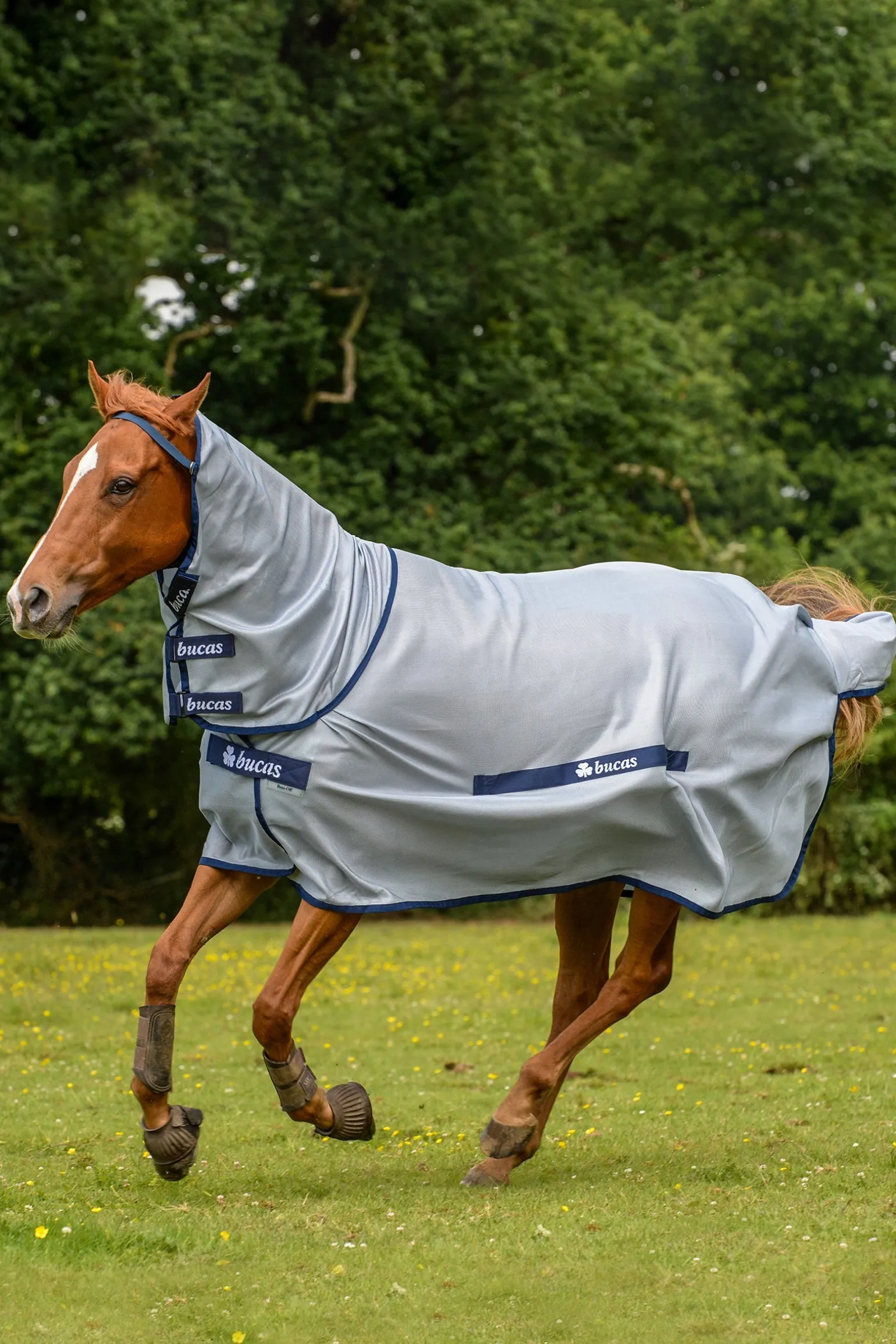 Buzz-Off Full Neck Fliegendecke Pony mit festem Halsteil