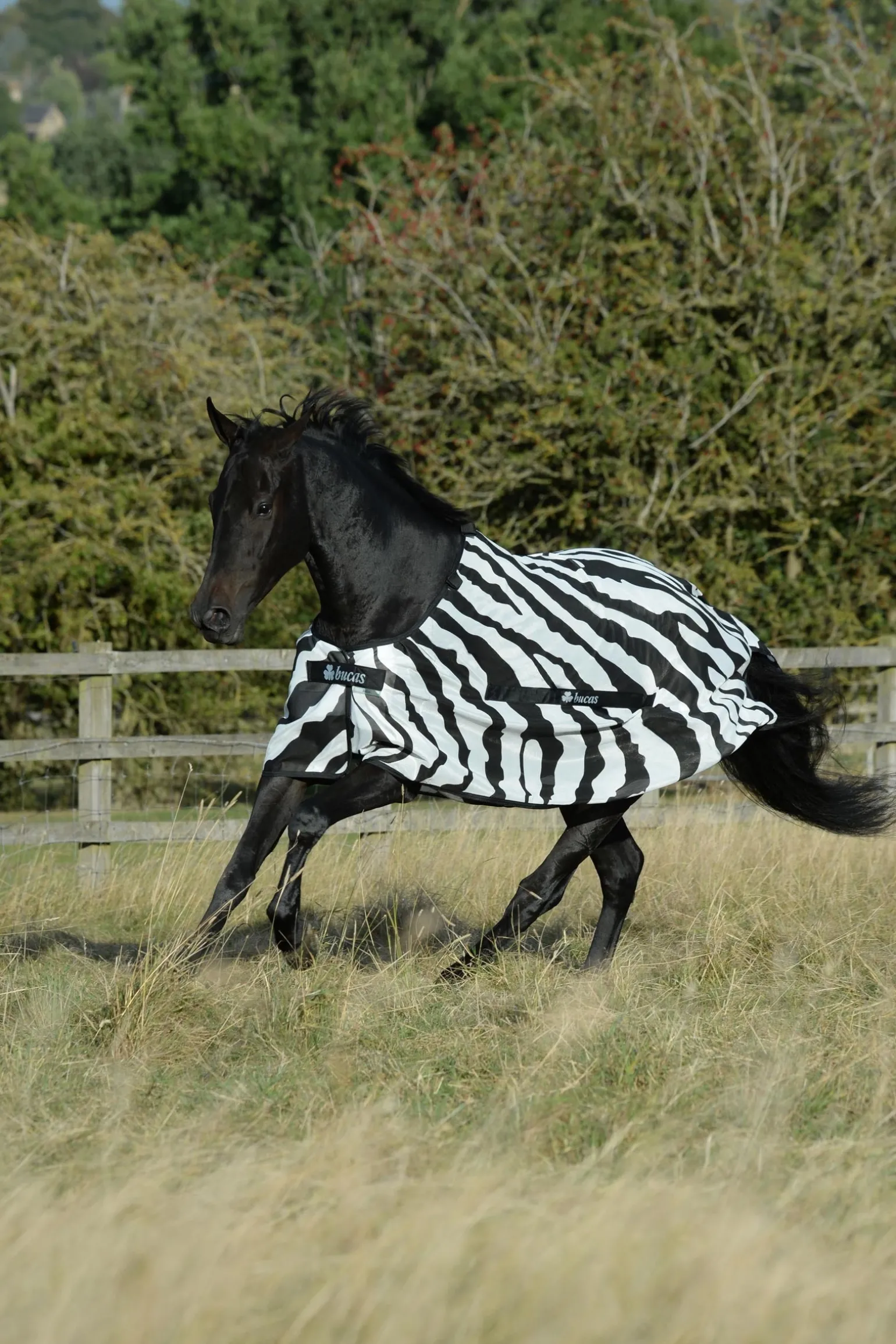 Buzz-Off Zebra Fliegendecke mit abnehmbarem Halsteil