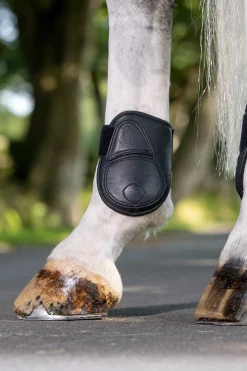 Capella Leder-Streichkappen