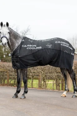 Carbon Abschwitzdecke