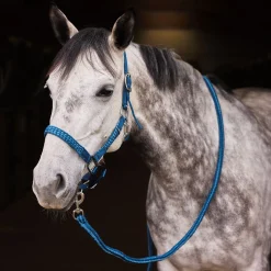 Chicago Halfter- & Führstrick-Set