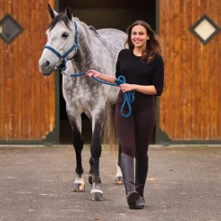 Chicago Halfter- & Führstrick-Set