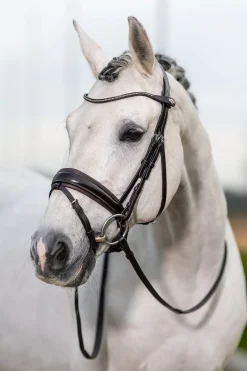 Classic Dressurtrense