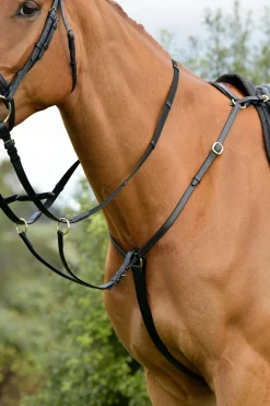 Classic 3-Punkt Vorderzeug mit laufendem Martingal