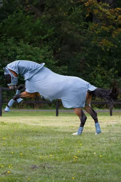 Classic Sports SS25 Fly Detach-Neck Fliegendecke