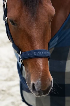 Classic Sports SS25 Softshell Double Pin Halfter