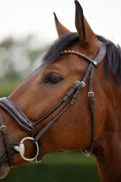 Clermont Anatomische Trense