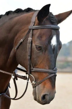 Comfitec Opulux Fancy Stitch gepolsterte hannoversche Trense