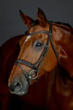 Comfitec Opulux schlichte, gepolsterte Trense mit kombiniertem hannoverschem Reithalfter