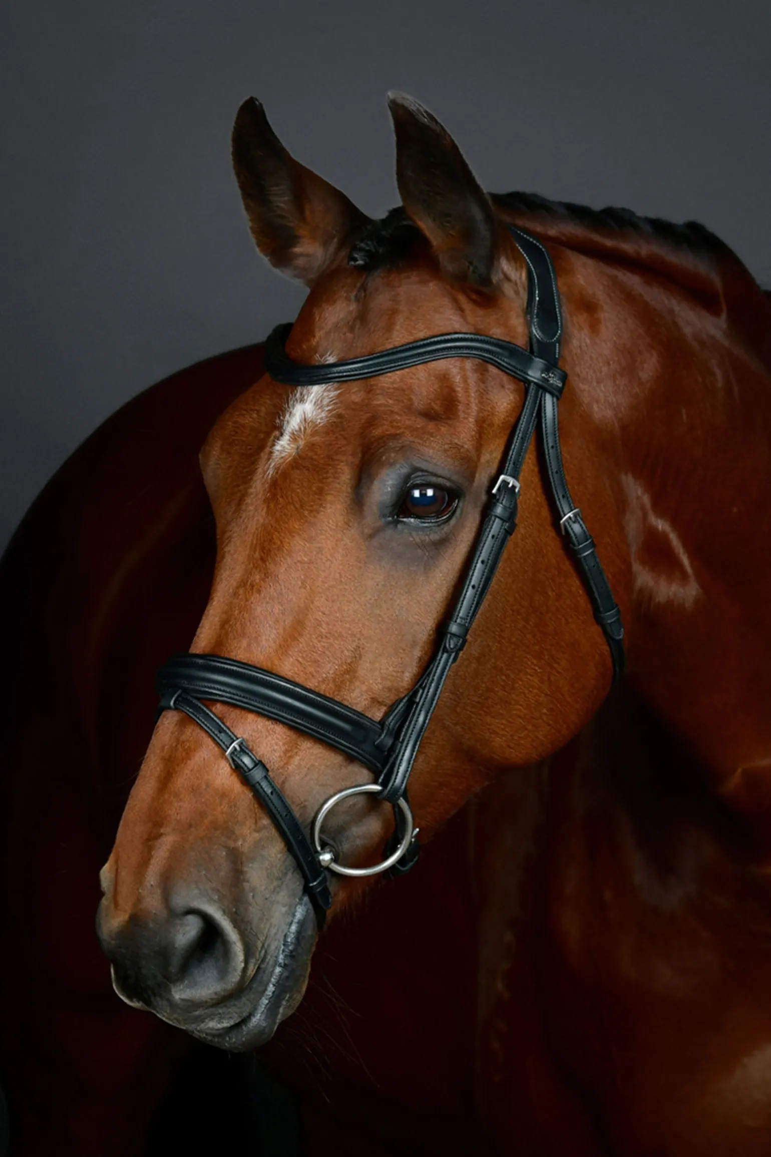 Comfitec Opulux schlichte, gepolsterte Trense mit kombiniertem hannoverschem Reithalfter