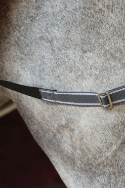 Comfitec Plus Dynamic II Weidedecke mit integriertem Halsteil, 220g