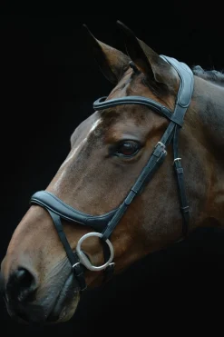 Comfitec Vogue anatomisch geformte Trense