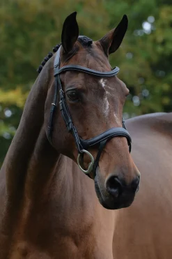 Comfitec Vogue anatomisch geformte Trense