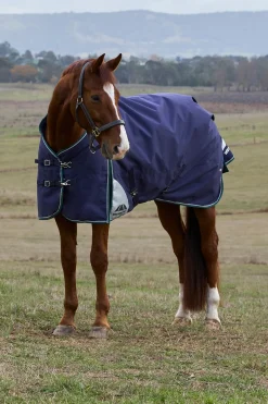 ComFiTecPlus Dynamic Turnout Detach-A-Neck 100G