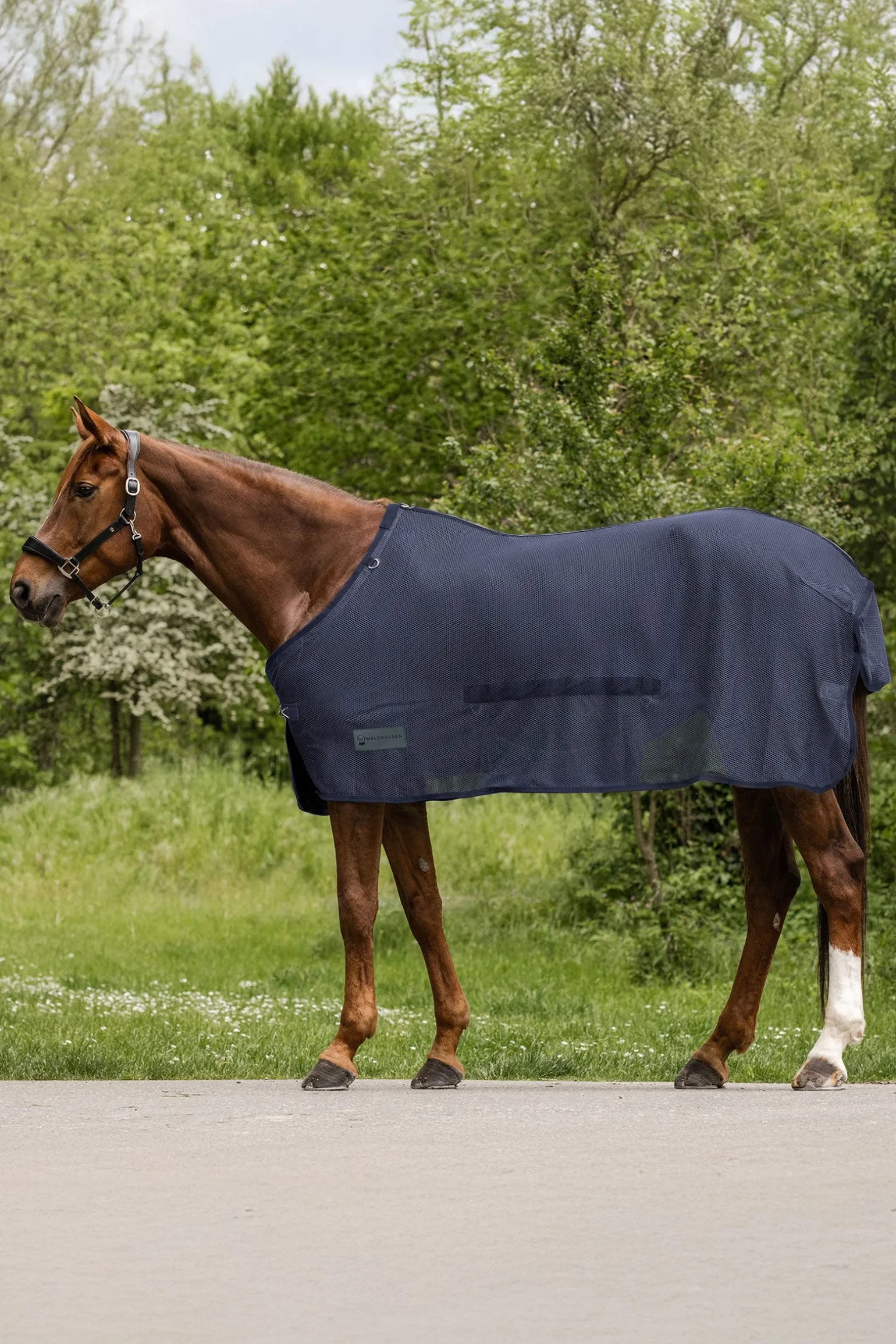 Comfort Fliegendecke mit Bauchlatz