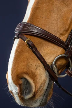 D Collection anatomische kombinierte Trense