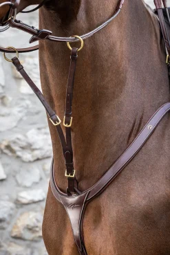 D Collection Martingal