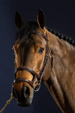 D Collection Trense mit Doppelnasenriemen