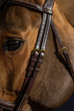 D Collection Trense mit Doppelnasenriemen