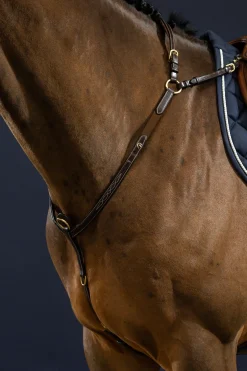 D Collection Vorderzeug mit Brücke