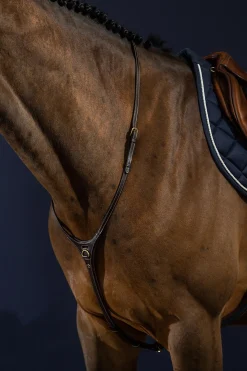 D Collection Y-Vorderzeug