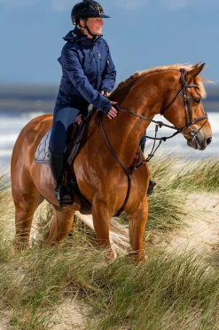 D Collection Y-Vorderzeug