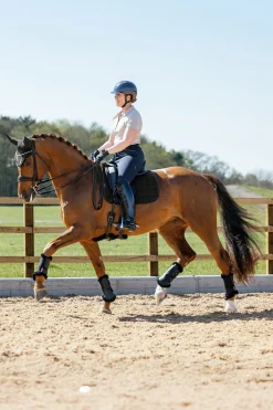 3D Mesh Self-Cool Dressurschabracke