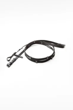 Diandro Mexikanische Trense