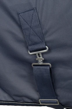 Dorchester Netzdecke