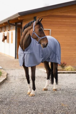 Dorchester Netzdecke