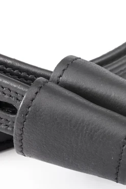 Dressur Geölte Steigbügelriemen