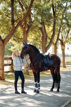 Drew Dressurschabracke