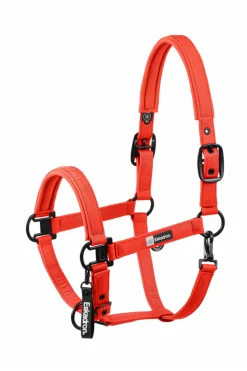 Dynamics AW25 Glitzer-Halfter mit Dornschnalle doppelt