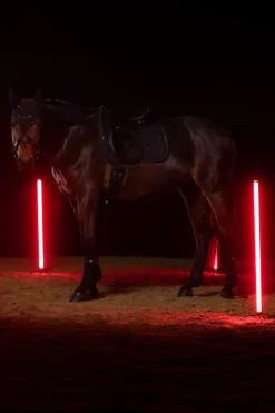 Dynamics AW25 Sparkle Crystal Dressurschabracke