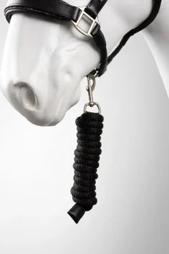 Dynasty Leder Halfter & Führstrick Set