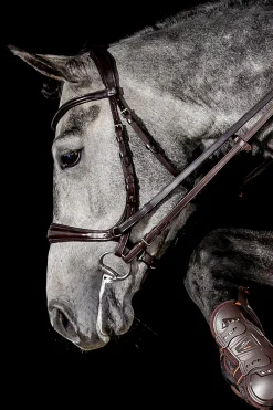 Equitus Theta 3in1 Trense