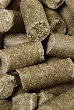 Eucalyptus Delicious Speedies, Leckerli, 5kg