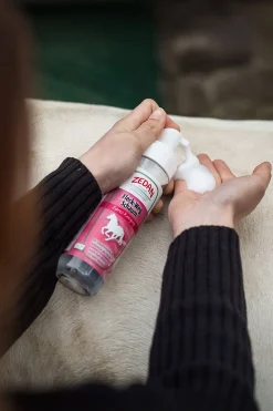 Express Fleck-Weg Schaum, 200ml