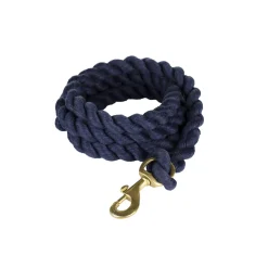 Führleine, Polyester