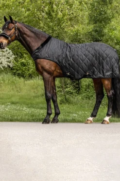 Führmaschinendecke Exclusive, 50g