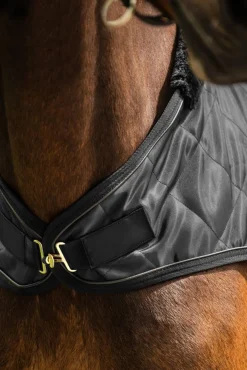 Führmaschinendecke Exclusive, 50g