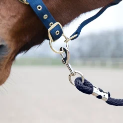 Führstrick, Karabinerhaken