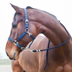 Führstrick, Karabinerhaken