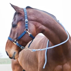 Führstrick, Karabinerhaken