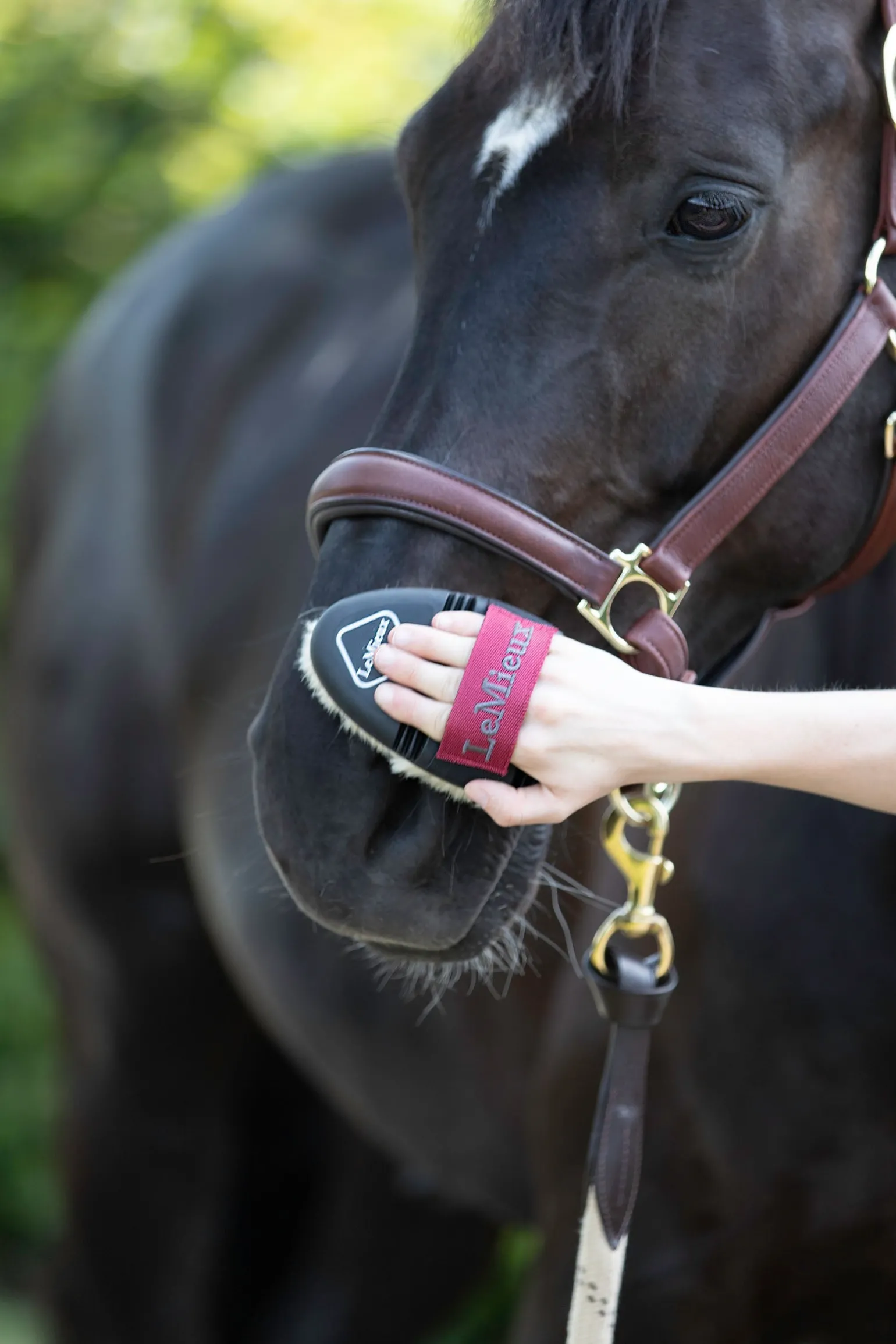 Flexi Reinigungsbürste