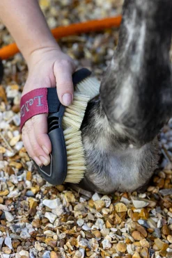 Flexi Reinigungsbürste