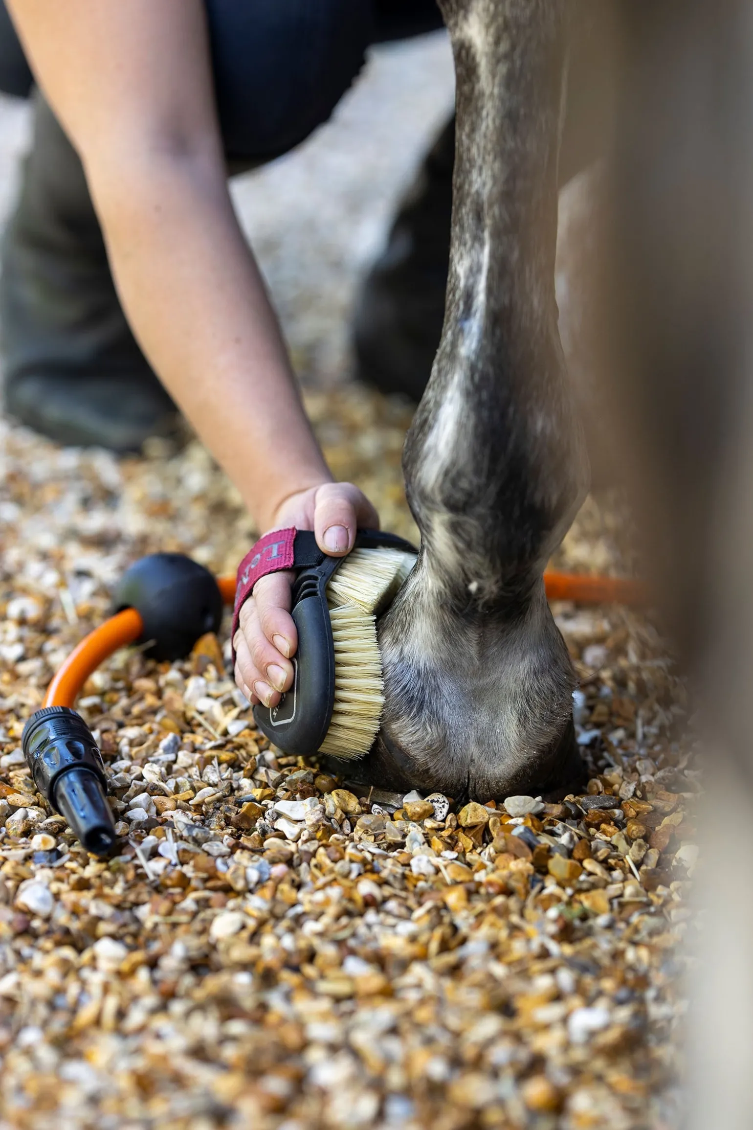 Flexi Reinigungsbürste