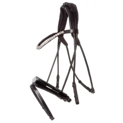 Florina KavalSH4 Trense