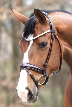 Florina KavalSH4 Trense